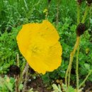 함평파크골프장 이미지