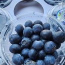 하동수지 이미지