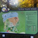 노루벌적십자생태원 | [대전 가을 나들이 명소] 노루벌적십자생태원 방문 후기 (11/9촬영)