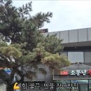 청송로-L 이미지