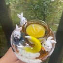 삼포초등학교(병설) 이미지