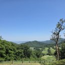 산길(주) | [충주 골프장] 모카CC 26년5월 다섯째주 라운딩후기