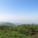 김영근치과의원 Daum카페