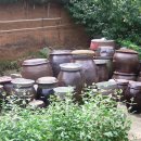 상신2리 이미지