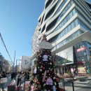 루이비똥 개 애견샵 | 서울 방문 후기!(Feat.잠실,성수, 티니핑?)