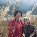 소래산방 이미지