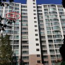 포항시남구62 이미지