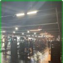 더 핏포유 이미지