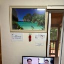 국립 양주 아세안자연휴양림 태국 1박 2일 후기