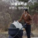 피콜로카네 네이버블로그