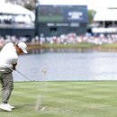 플레이어스 이미지