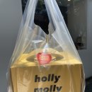 Holly Molly 이미지