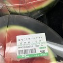 갈치조림 먹으러 섬에 가다