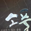 소나무풍경 | 일산 원마운트 맛집 소나무가 있는 풍경 점심특선 돼지양념갈비 정식 후기