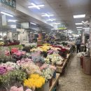 양정시장 | 양정 꽃시장 가격 저렴한 후기, 규모는 작지만 가성비 좋은 곳