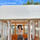 그린스테이 | 방갈로 5시간 공간대여 아산 글램핑장 &#34;스테이그린&#34; 수영장 이용 후기(바베큐2인세트, 이용꿀팁)