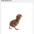 🍻술 마실 땐 꼭 저를 불러주세요❤️ 메추라기🐤 애호가 4차원 26학번 원선경 학우를 소개합니다! 이미지
