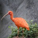 멍해피 애견유치원&호텔 이미지