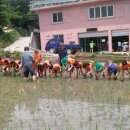 용인호박등불마을 이미지