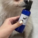 미뇽펫푸드 | 철원 애견수제용품&amp;간식 ‘미뇽펫푸드’