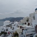 행정사 다인 이미지