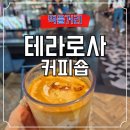 강남 커피 맛집 테라로사 포스코센터점 방문 후기