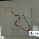 태전동물병원 이미지