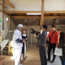 고래고래 이미지