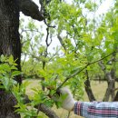 바람햇살농장 이미지