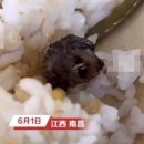 우기고기