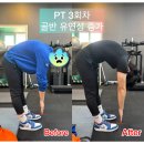 디비피트니스랩 하당 | [목포PT/목포헬스장] 디비피트니스랩 하당점에서 체계적으로 관리 받자!