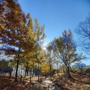 마재근린공원 이미지