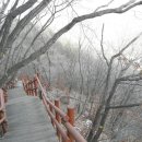 광교산 체육공원 이미지