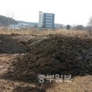 여주계분