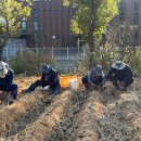 화도농장 이미지