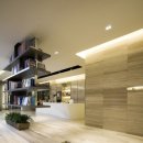 더블랙(The Black) 이미지