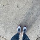 진이맘홀릭 이미지