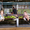 안정농장 이미지