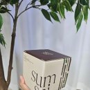 관리사무소 화장실 | 화장실 담배냄새 해결! 숨사이 탈취제로 잡아보세요(내돈내산 후기)