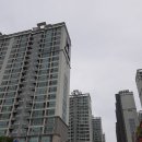 수원-1701 이미지