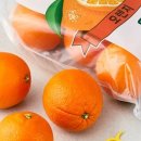 해피약국 이미지