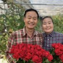 합천동부농협 이미지