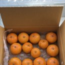 드림모두팜 | 제주도 천혜향 2kg 가정용, 겨울 제철 과일 비오그린팜 후기