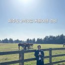 운주목장 | 제주도 주말 2박3일 커플여행 경비 | 항공 숙소 식비 총정리