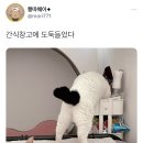 간식창고 - 태안군 중앙로 101 | 간식창고