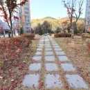 한림풀에버공인중개사사무소 이미지
