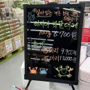 홍게킹 | 천안게싸노 대하마트점 포장후기 가성비 좋은 대게 홍게 킹크랩 직판장