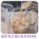 울산 북구 청년도전지원사업 후기(10)_ 2026 장기반 3회차 2, 3주차