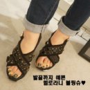 슈비즈 이미지