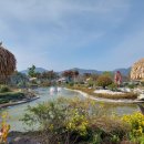 들꽃카페 이미지